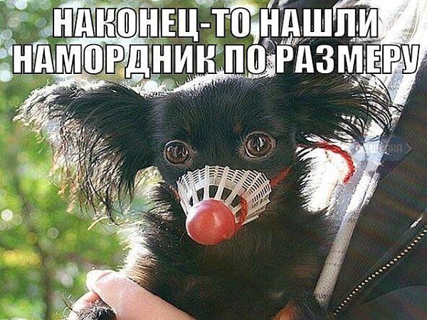  , - 22  2015  13:45