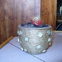 ���� ������, ������ - ��������� 26 ������� 2015 � ������ ��� �����