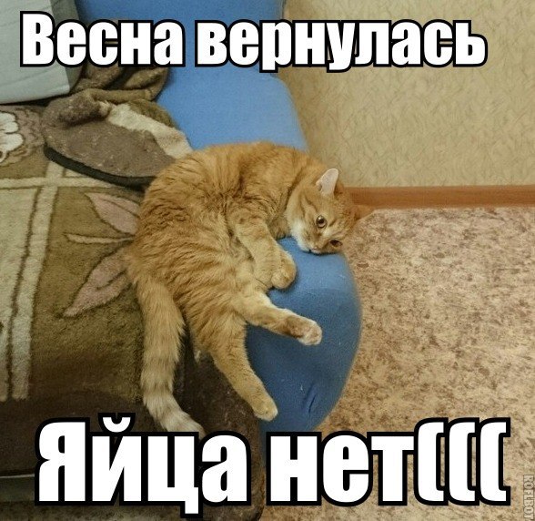Приглашаю в группу,где море позитива: fotostrana.ru/prikolyzikfun/
