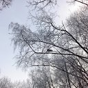 ���� Valka, ������, 63 ���� - ��������� 30 ������ 2015 � ������ ���� ����������