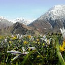 ���� �����, ������, 66 ��� - ��������� 5 ����� 2015 � ������ ������ ��������