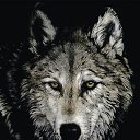 ���� ����, ��������, 49 ��� - ��������� 16 ������� 2014 � ������ ���� ����������