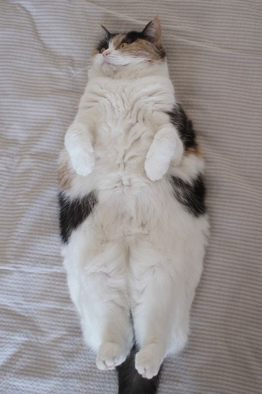    :3