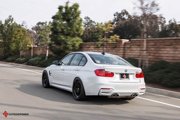 BMW M3 (F80)   Supreme Power - 3