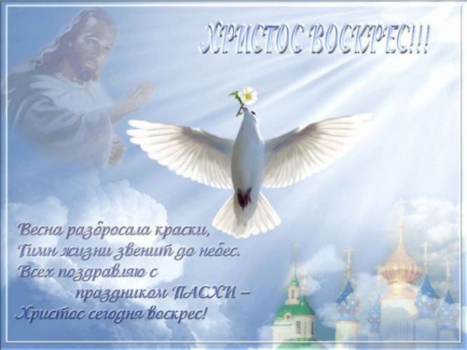 Angel - 12  2015  00:39