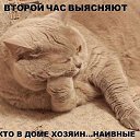 ���� �����, ����������� - ��������� 28 ����� 2015 � ������ ���� ����������