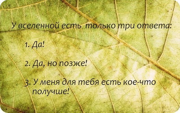  | Yoga - 12  2015  00:14