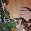 ���� ������, �����-���������, 70 ��� - ��������� 7 ������ 2015 � ������ ��������