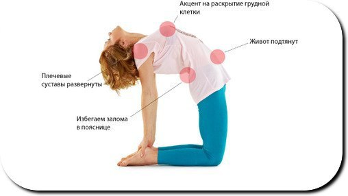 Уштра-асана (поза верблюда).Техника выполнения:1) Исходное положение — сидя на коленях2) Упритесь ...