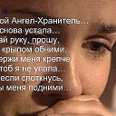 ���� ����������, ������, 44 ���� - ��������� 29 ����� 2015 � ������ ������ ��������