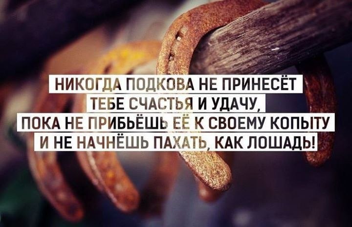  - <a href=