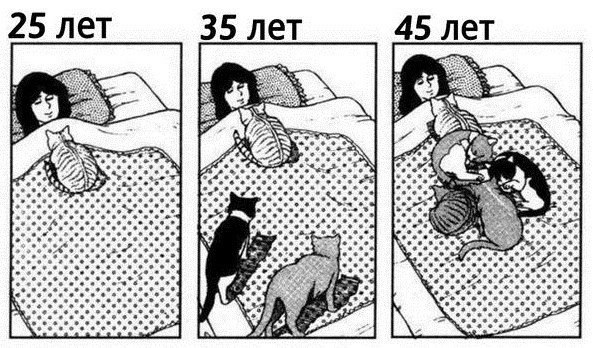   - 1  2015  00:10