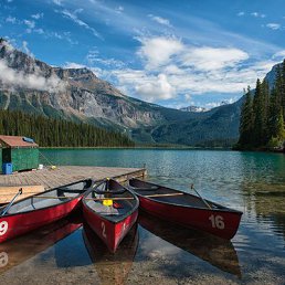 Ivan, ��������, 35 ���