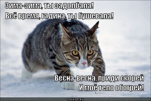  - 3  2015  14:31