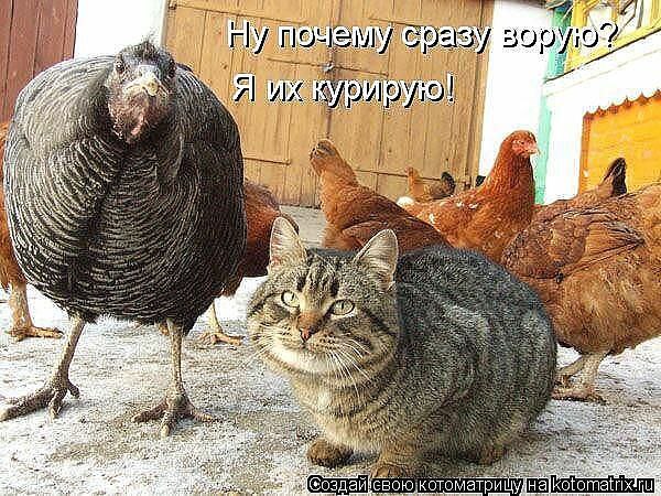  ب!!!)))))))