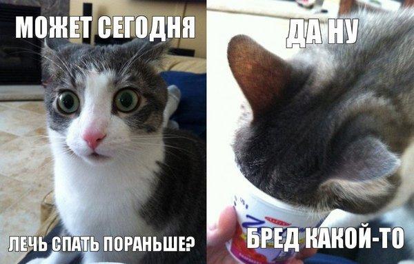       - 2  2015  21:37