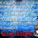  , , 32  -  12  2015    