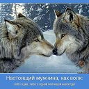 ���� �������, ������, 58 ��� - ��������� 17 ������ 2015 � ������ ���� ����������