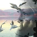 ���� �������, ������, 43 ���� - ��������� 6 ������ 2015 � ������ ���� ����������