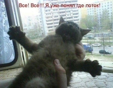   ,  : <a href=