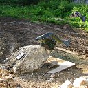 ���� ������, �����, 67 ��� - ��������� 8 ����� 2015 � ������ ���������������� ����� � �������