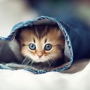 ���� �����, ������� �����-7, 54 ���� - ��������� 15 ������ 2015 � ������ �������.�