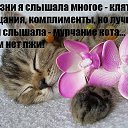  ,  -  13  2015    