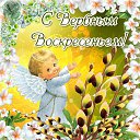 ���� �������, �������, 54 ���� - ��������� 5 ������ 2015 � ������ �������� ��������