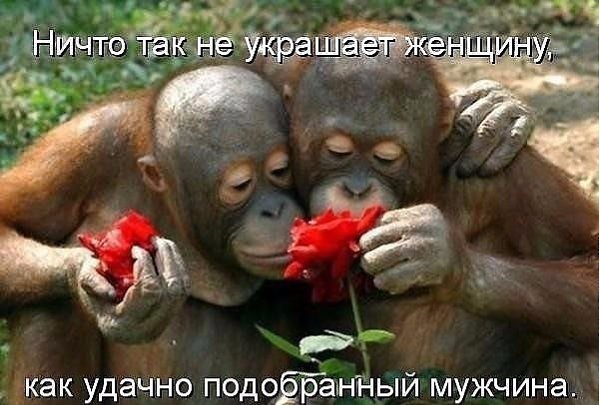   vk.com/ranks