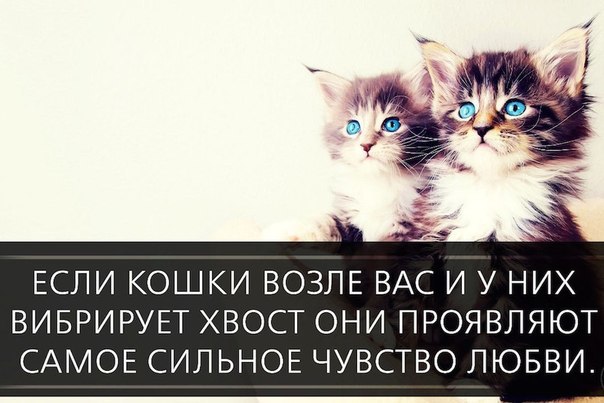 Wow - 8 ������ 2015 � 13:33 - 9