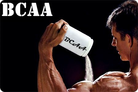Главные доказанные эффекты BCAA аминокислот в бодибилдинге: Предохранение мышц от разрушения ...