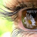 -  .   .    .   .   -   .    ,  -   .      ,       .    