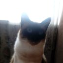 ���� ������, ������, 39 ��� - ��������� 31 ����� 2015 � ������ ������ ��������