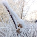 ���� Valka, ������, 63 ���� - ��������� 30 ������ 2015 � ������ ���� ����������