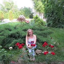 �����, ������, 50 ���