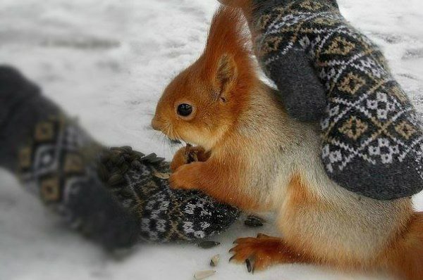 ����� ������� - 5 ������ 2015 � 03:05