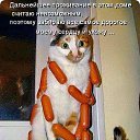 ���� �������, �������, 64 ���� - ��������� 4 ������ 2015 � ������ ������ ��������