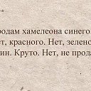 ���� �����, ��������� - ��������� 22 ������� 2015 � ������ ������ ��������