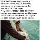���� �����, �����-��������� - ��������� 30 ������ 2015 � ������ ������ ��������