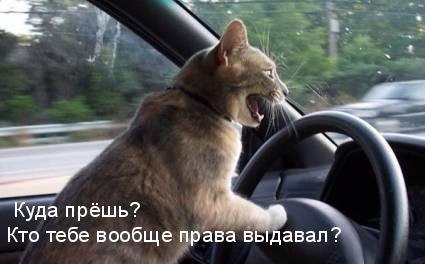     !