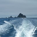 ����� �����... �� ������� ������ ��������