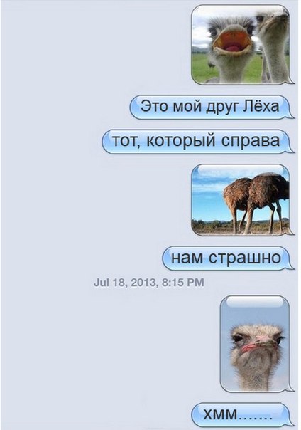  . - 3