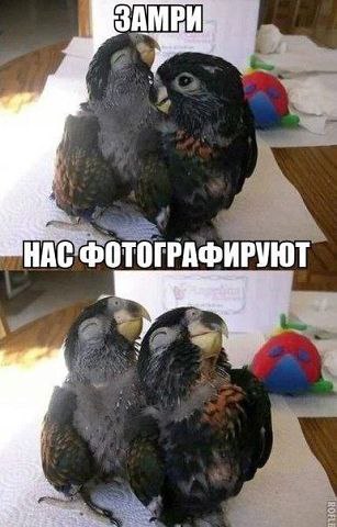 �������� - 19 ������� 2015 � 18:02