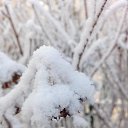 ���� Valka, ������, 63 ���� - ��������� 30 ������ 2015 � ������ ���� ����������