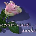  ,  -  28  2015    
