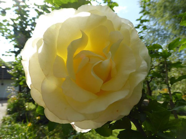  - 22  2015  09:19 - 4