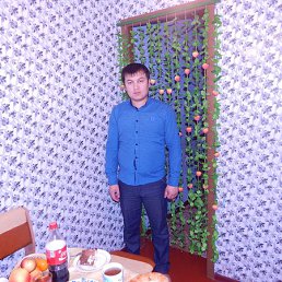 ����, �����������, 39 ���