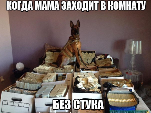 ������������ ���� - 16 ������ 2015 � 13:57