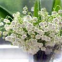 ���� ��, ���������, 59 ��� - ��������� 20 ������� 2014 � ������ ���� ����������