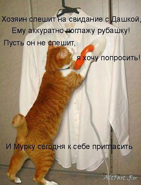   - 9  2015  21:32